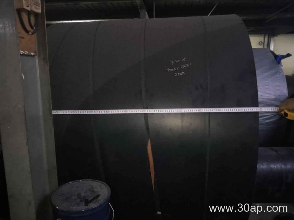 NN300 Conveyor Belt