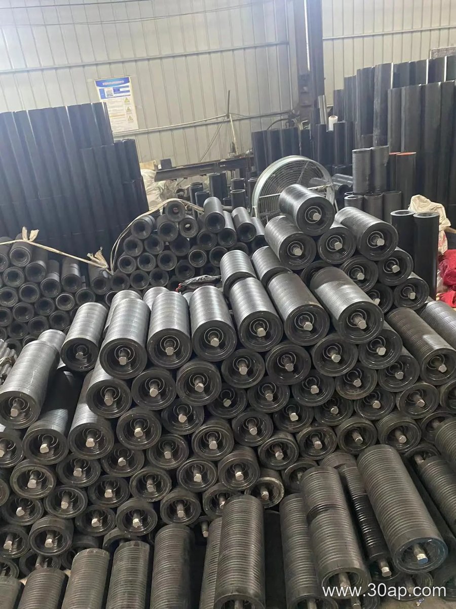 Belt Conveyor Guide Idler