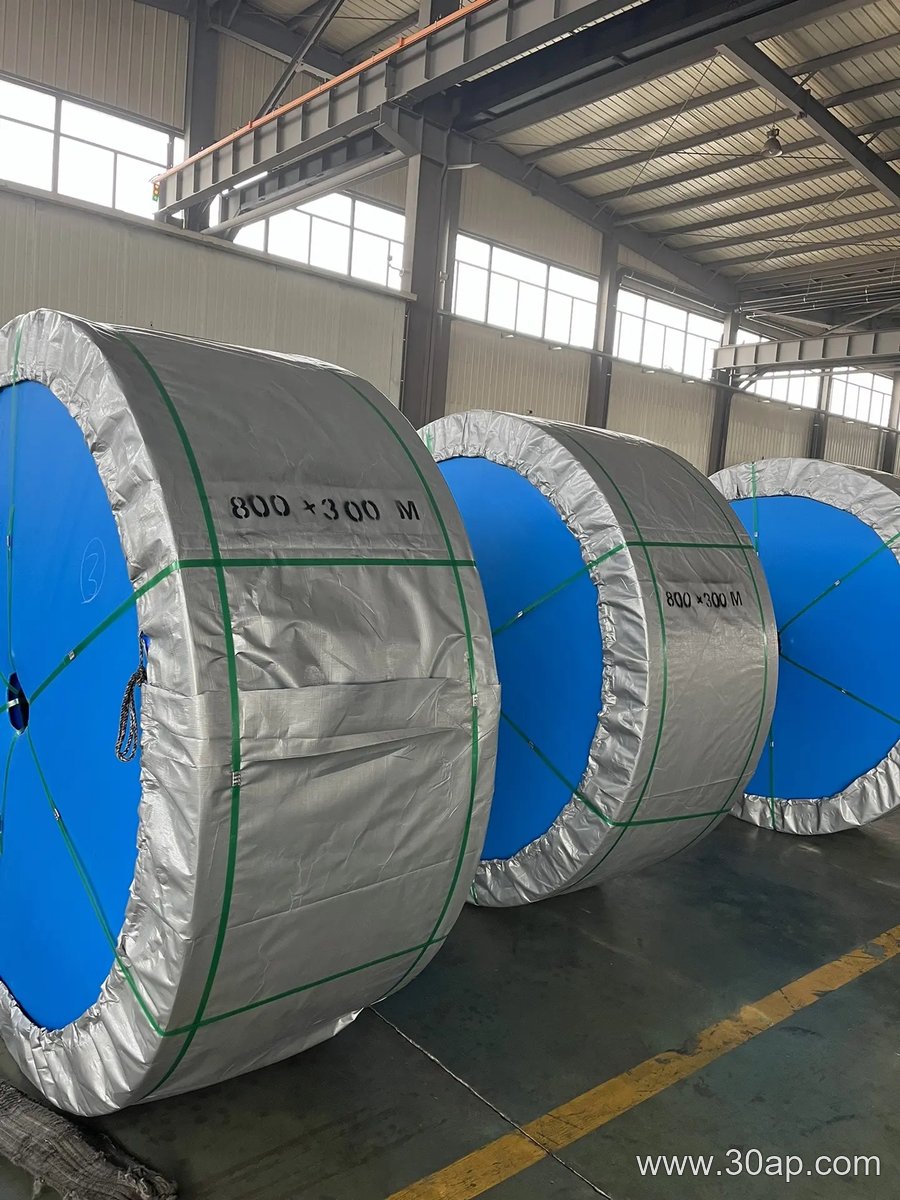 Multi-Ply Fabric Core Conveyor Belt product image