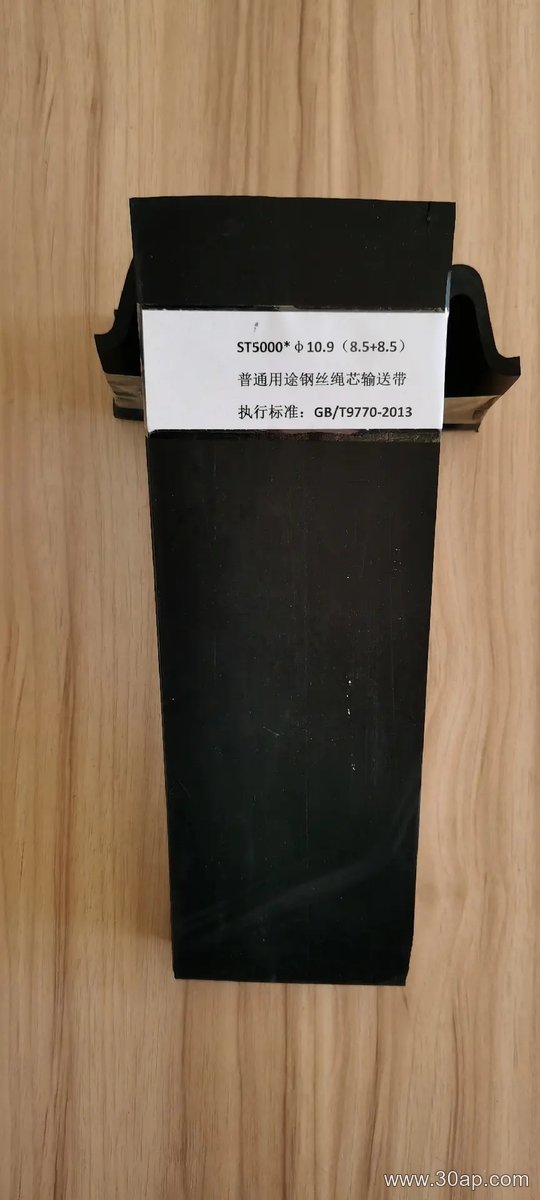 PVG800S Conveyor Belt product image