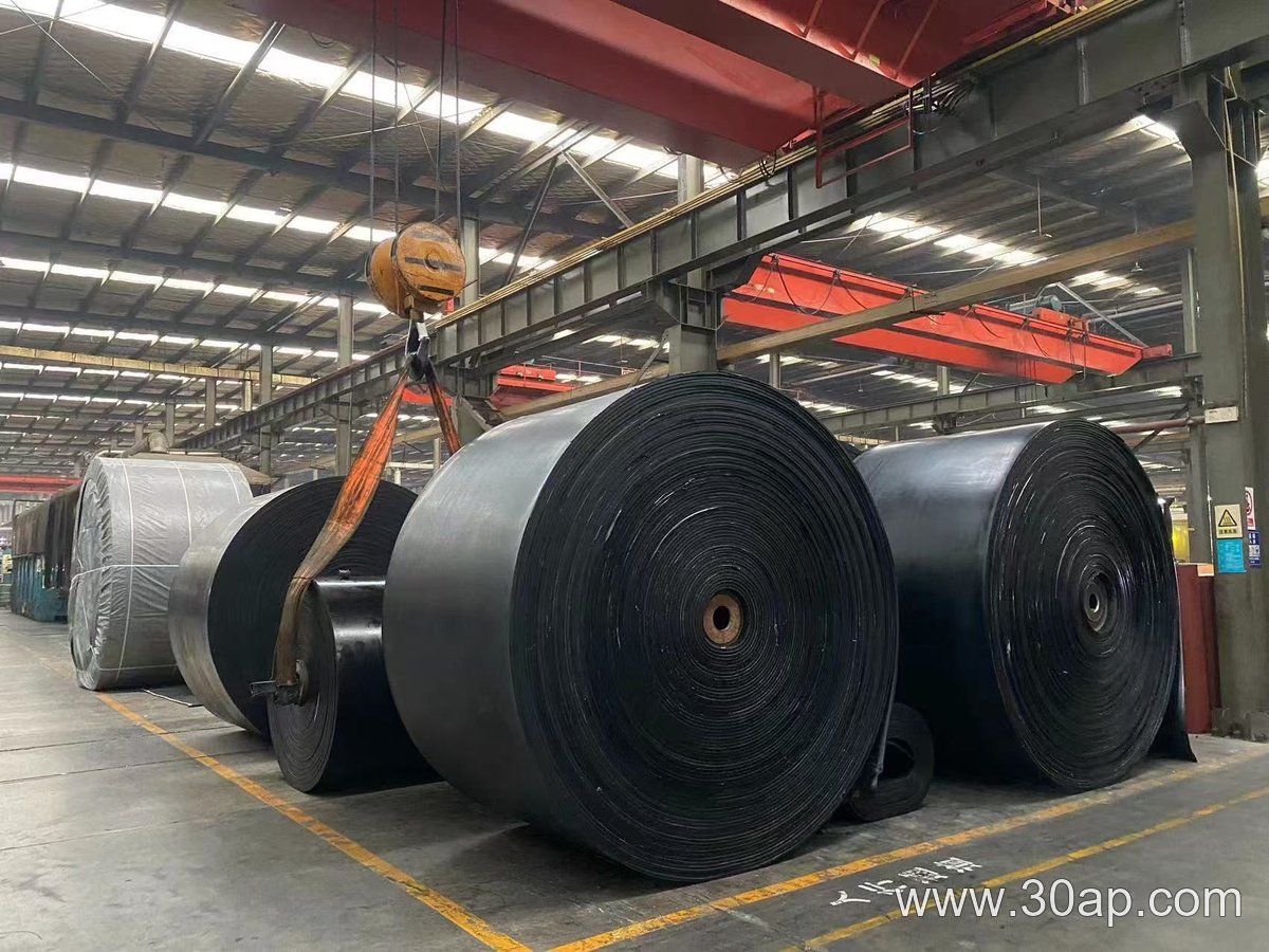 EP Conveyor Belt, 10mm Thick product image