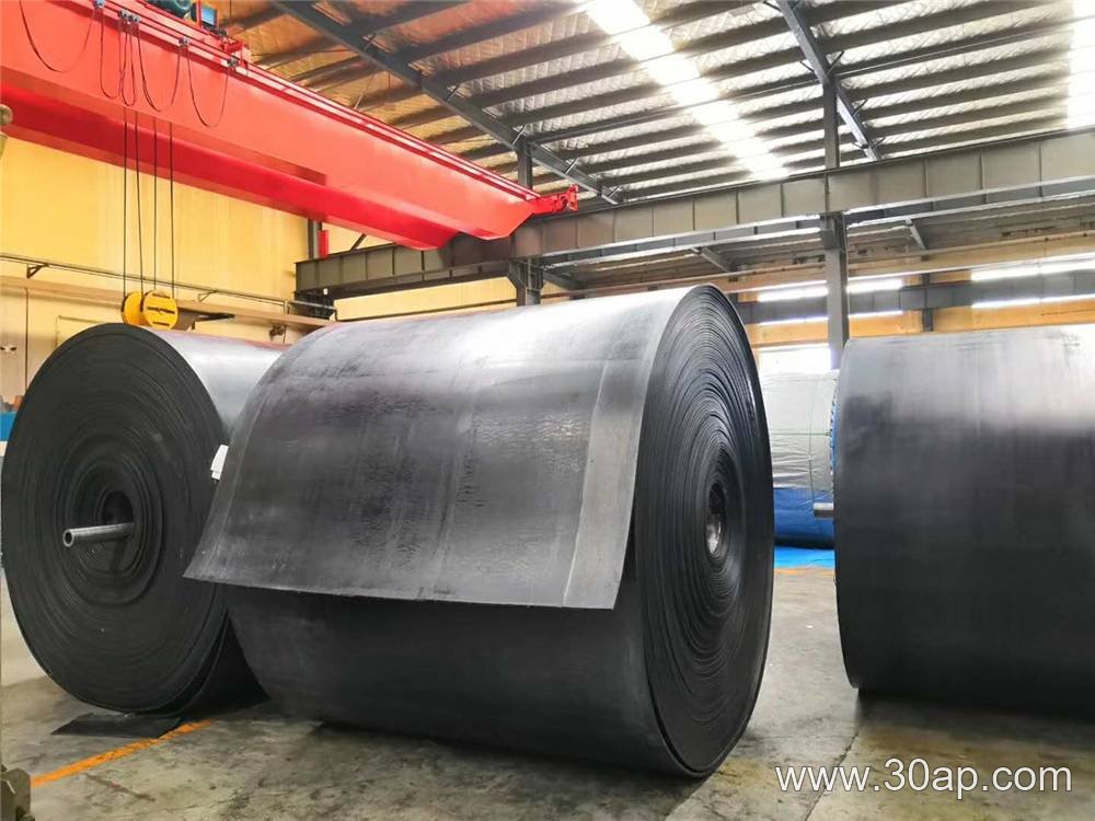 EP1000 Conveyor Belt product image