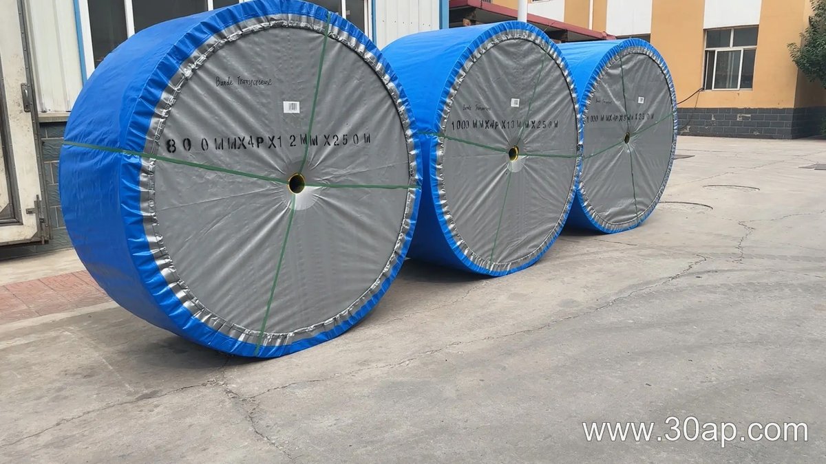 EP1250 Conveyor Belt