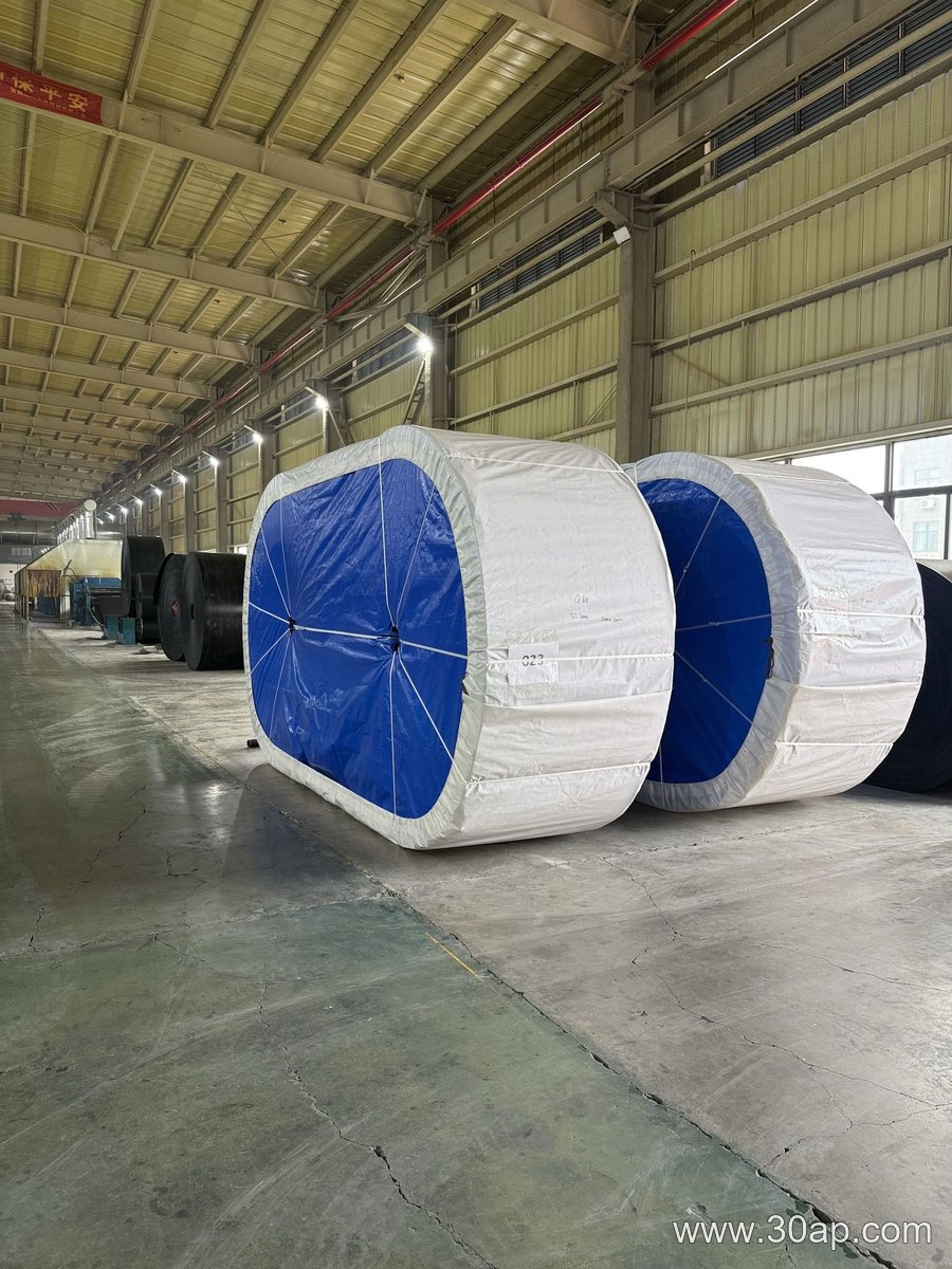 Crusher Conveyor Belt product image