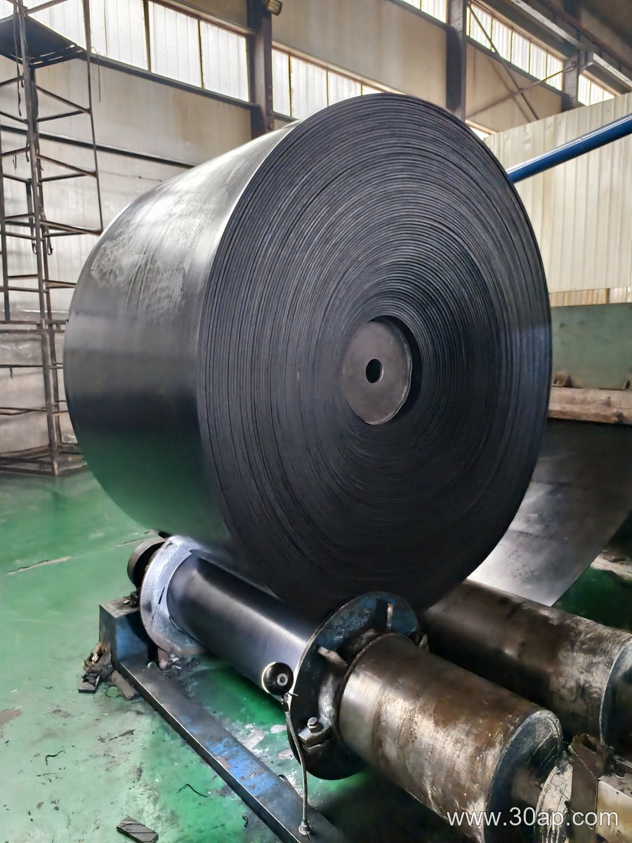 EP1000 1200mm Conveyor Belt product image
