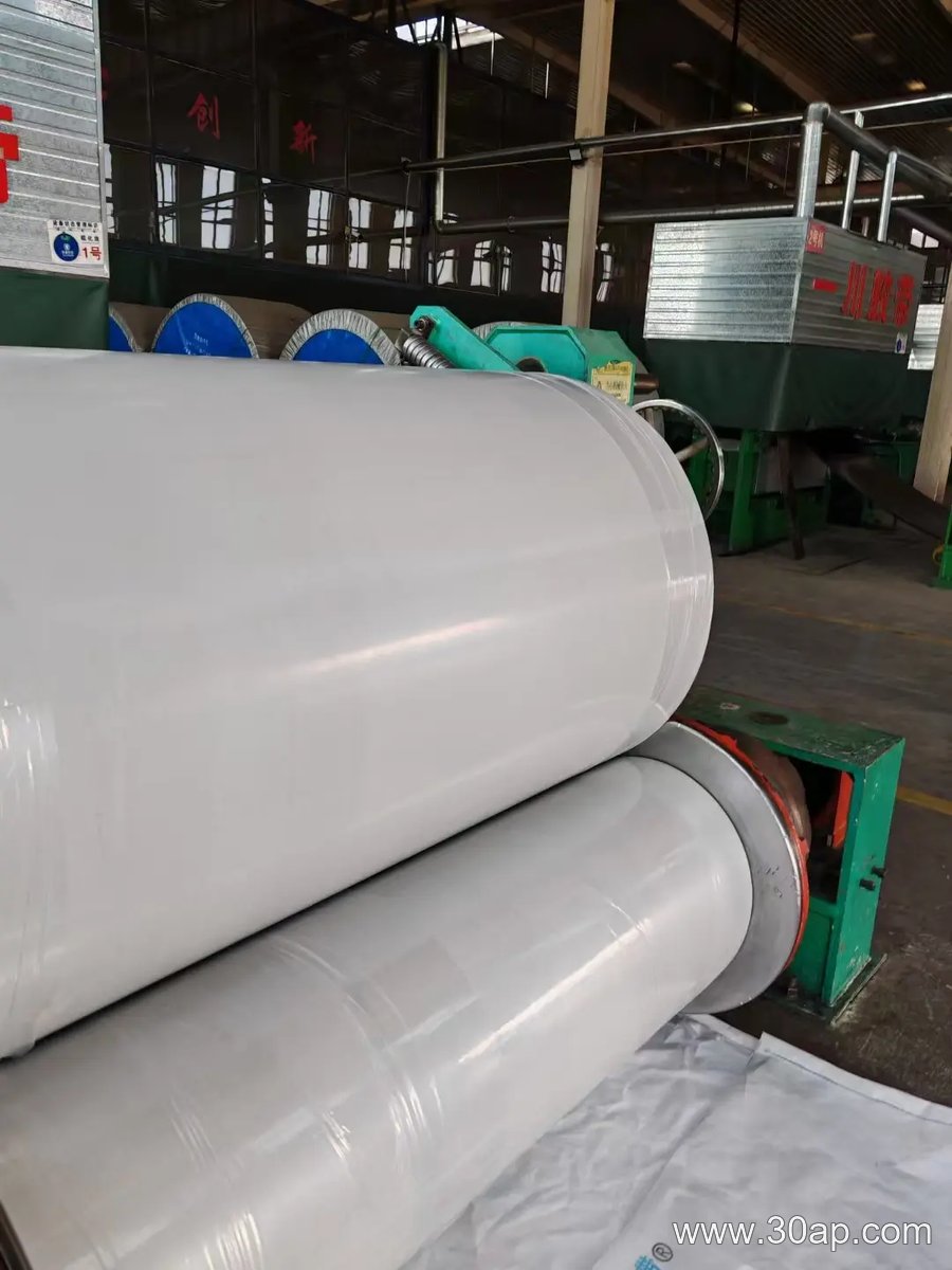 High Temperature Conveyor Belt