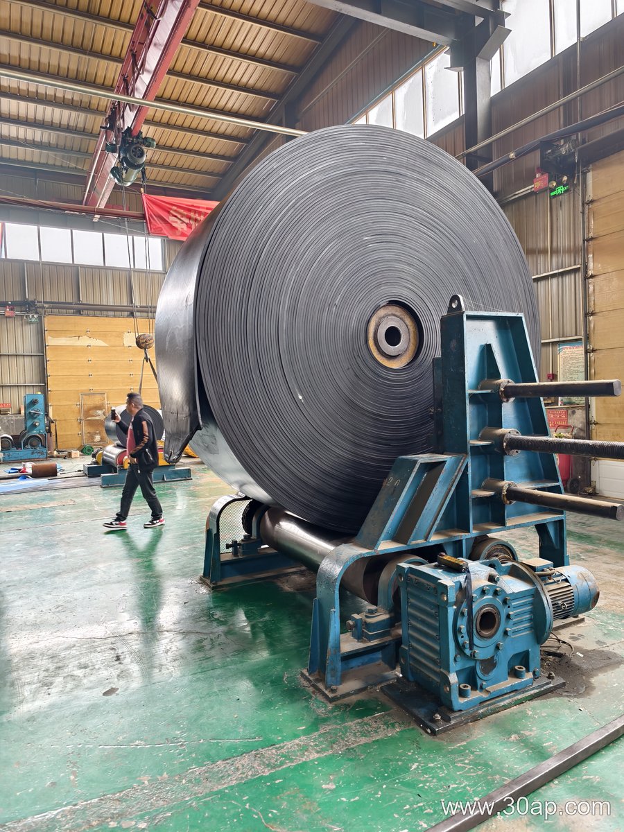 EP1250 Conveyor Belt