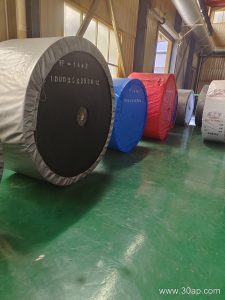 EP1000 1200mm Conveyor Belt Buyer and Application Guide