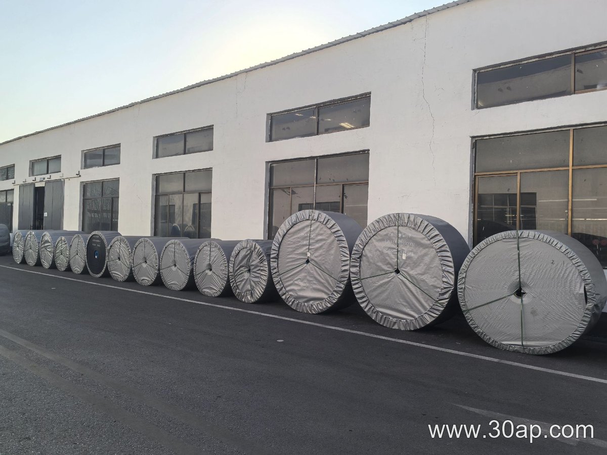 High Temperature Conveyor Belt