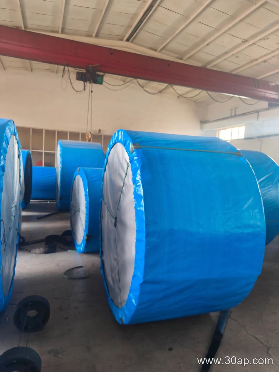 PVG800 Conveyor Belt product image