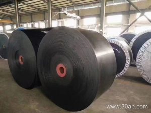 Selecting the Right Conveyor Belt: A Buyer’s Guide for Industrial Efficiency