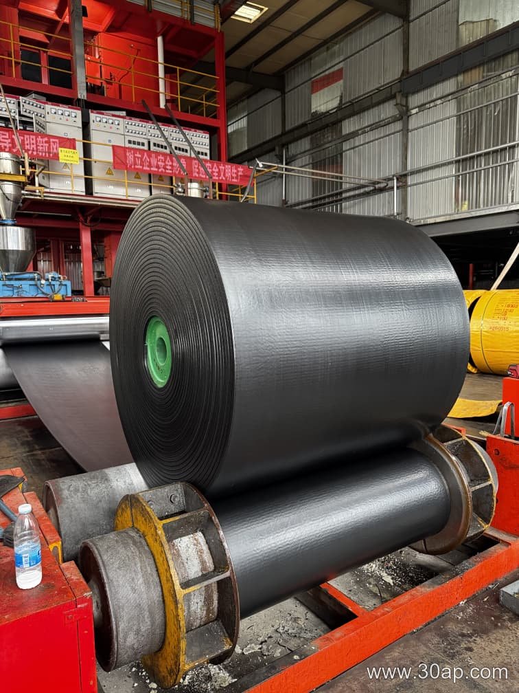 Flame Retardant Conveyor Belt product image