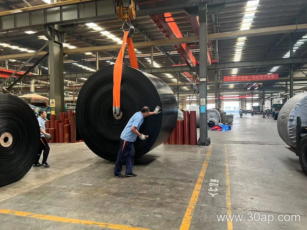 EP1250 Conveyor Belt