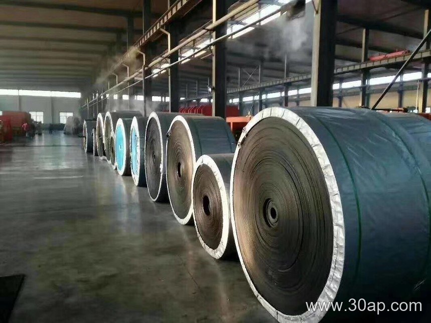 Chemical Resistant Conveyor Belt product image
