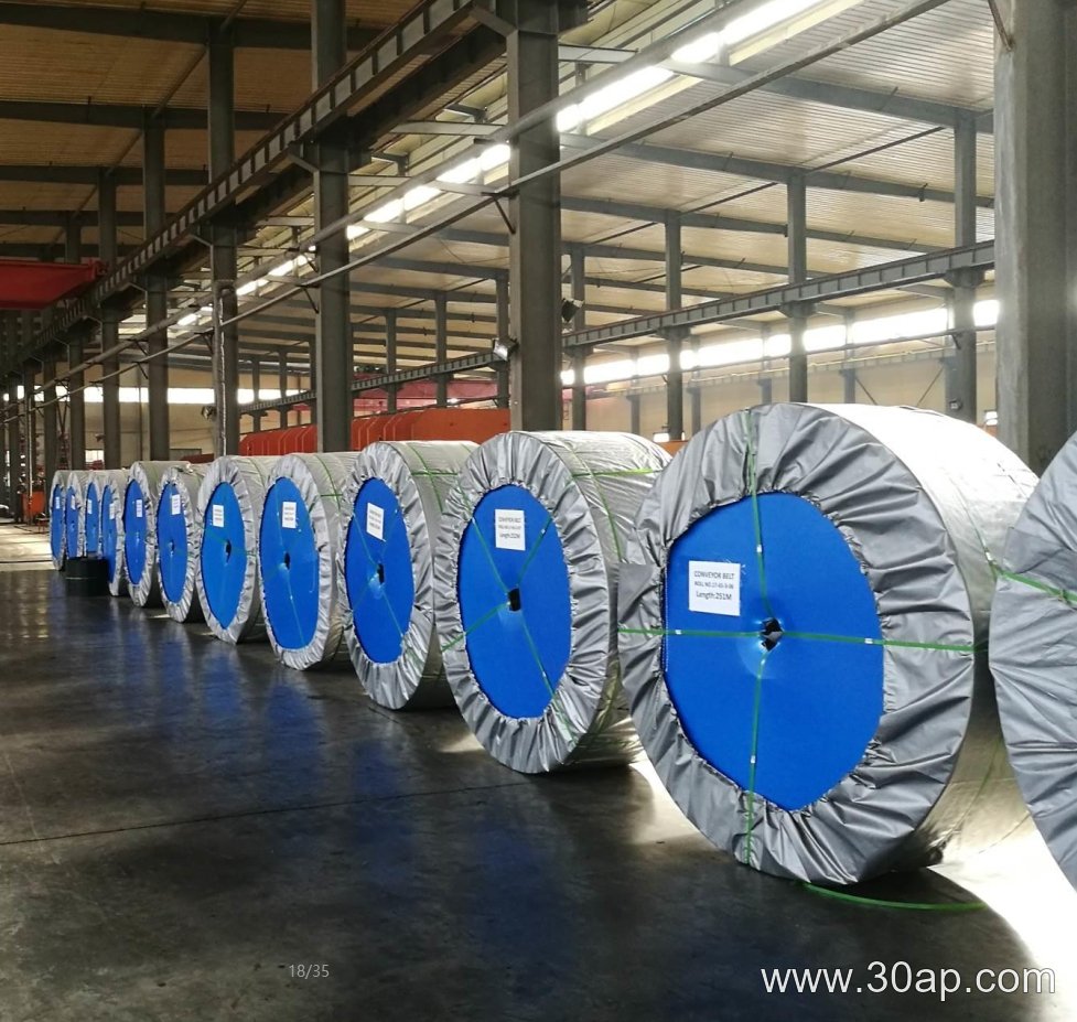 Cement Plant Conveyor Belt