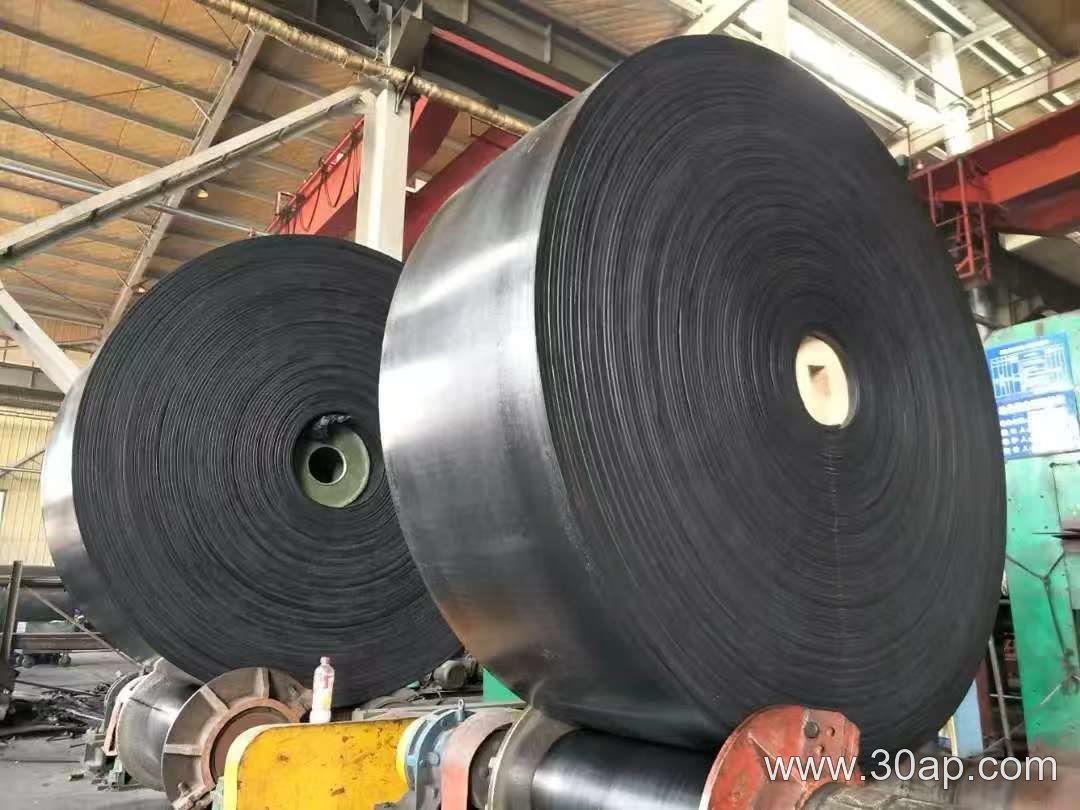 500mm Conveyor Belt product image