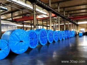 Conveyor Belt Selection and Purchasing Guide