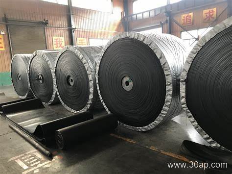 PVG800S Conveyor Belt product image