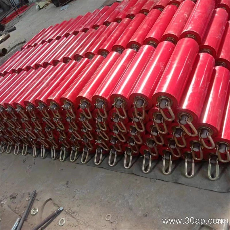 Double-Sealed Idler product image