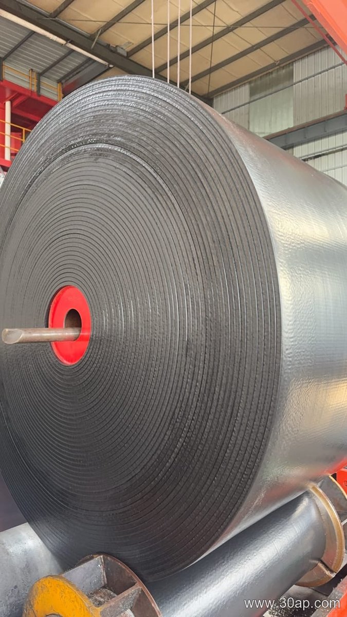 EP1000 1200mm Conveyor Belt product image