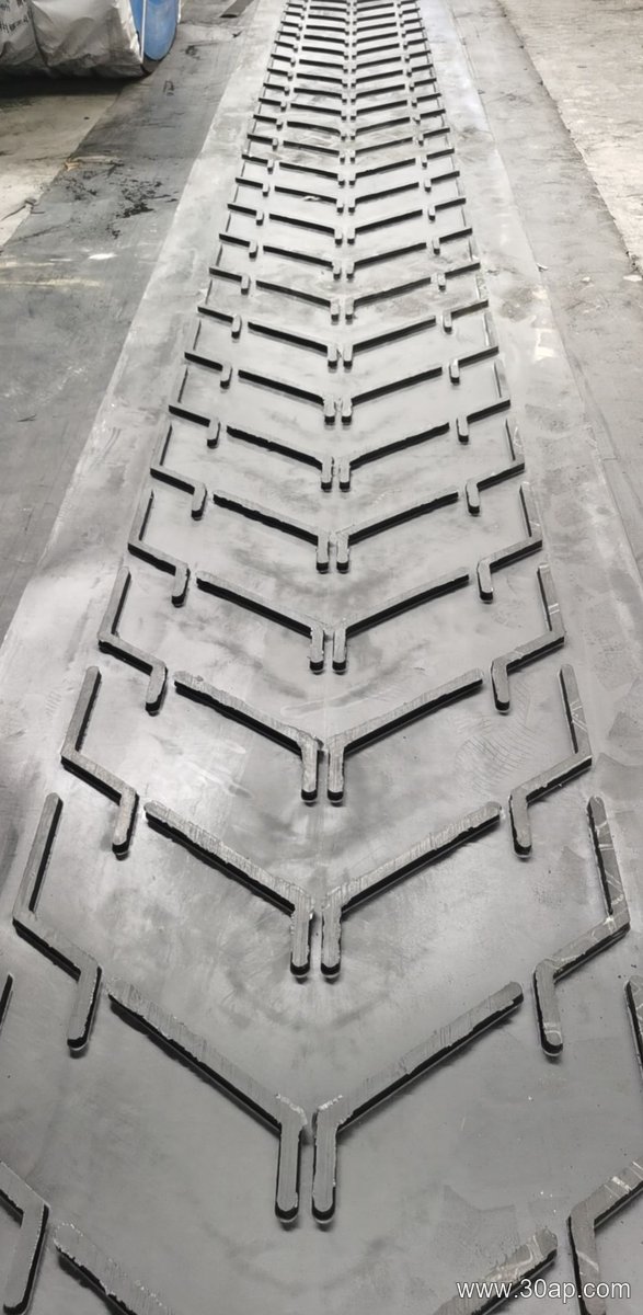 2200mm Conveyor Belt