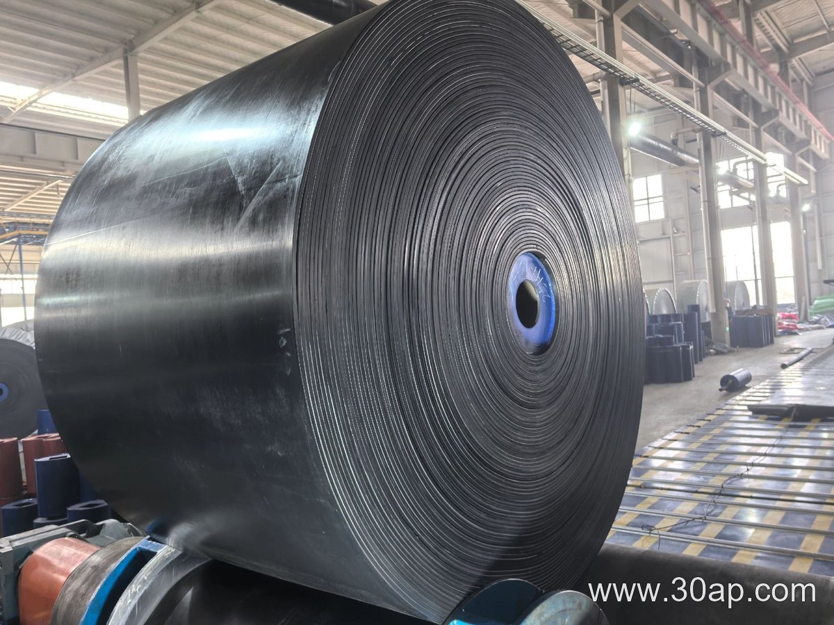 Wide Conveyor Belt product image
