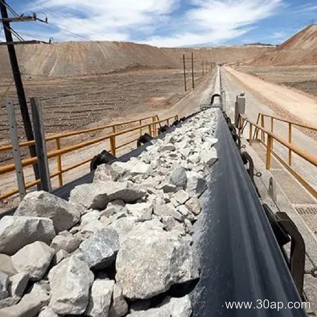 Heavy-Duty Conveyor Bracket Manufacturer product image