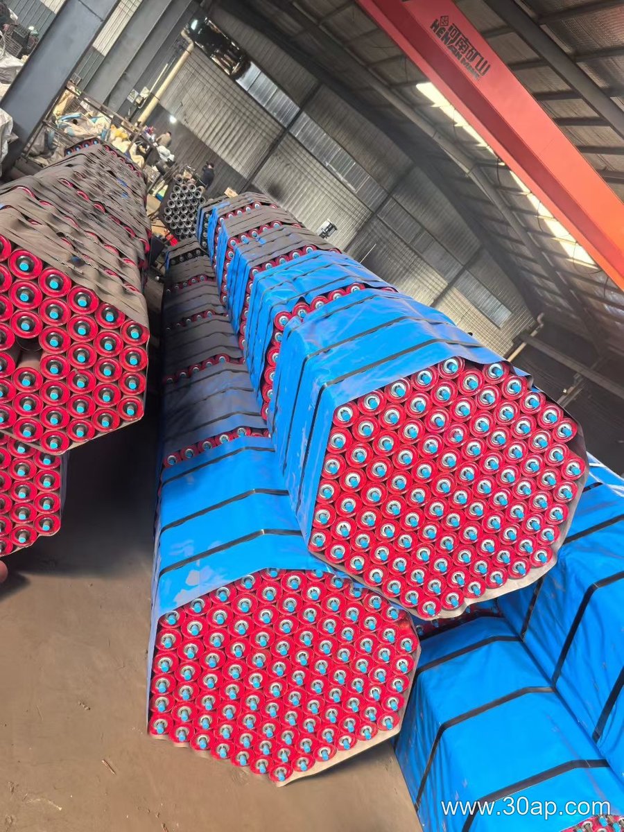 Power Plant Conveyor Idler