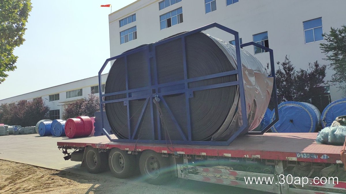 ST2500 Conveyor Belt