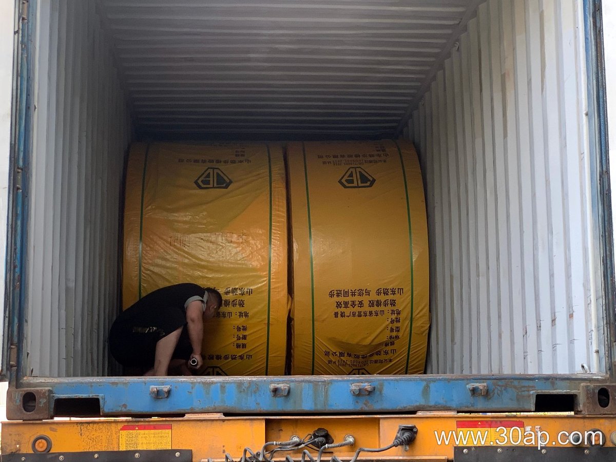 EP630 Conveyor Belt