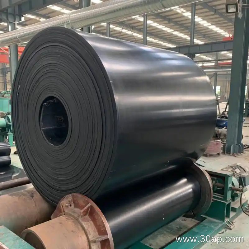 Acid Resistant Conveyor Belt