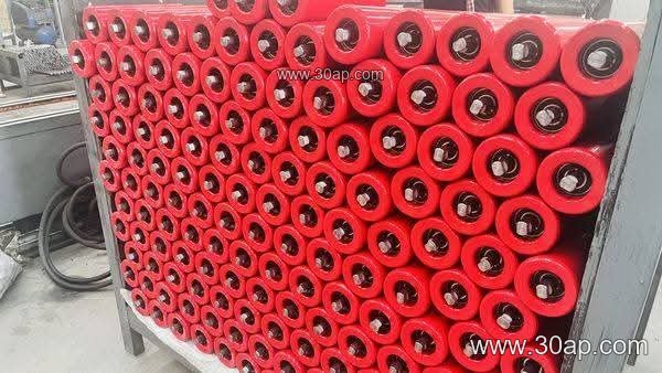 Conveyor Vertical Roller