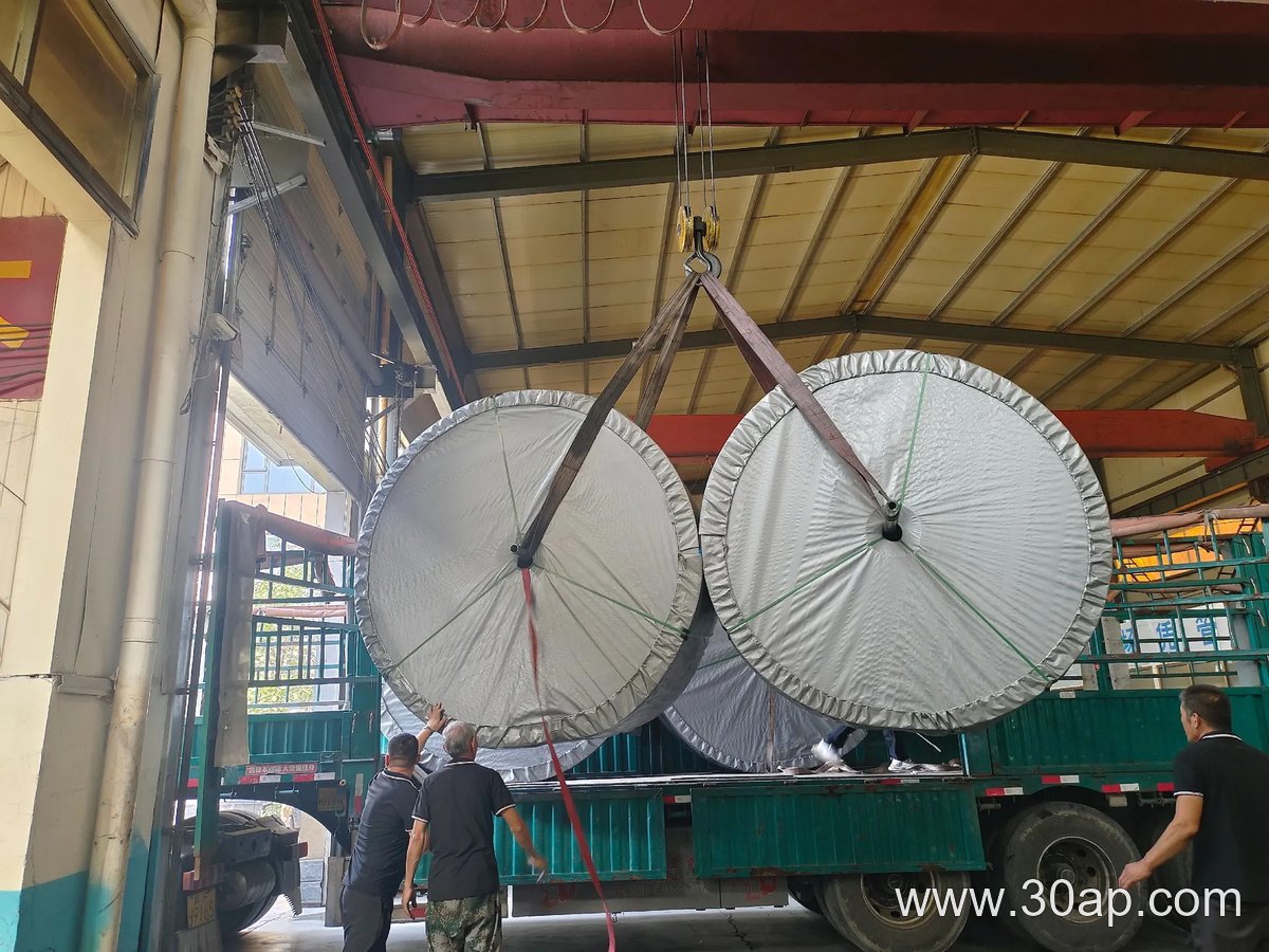 EP200 Conveyor Belt