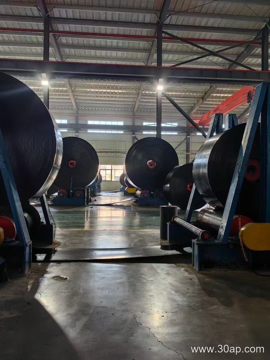 ST1250 Conveyor Belt
