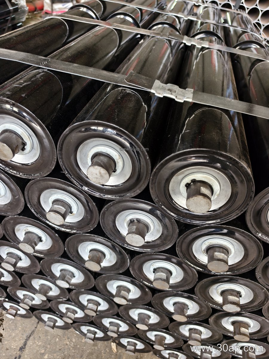 Stainless Steel Idler
