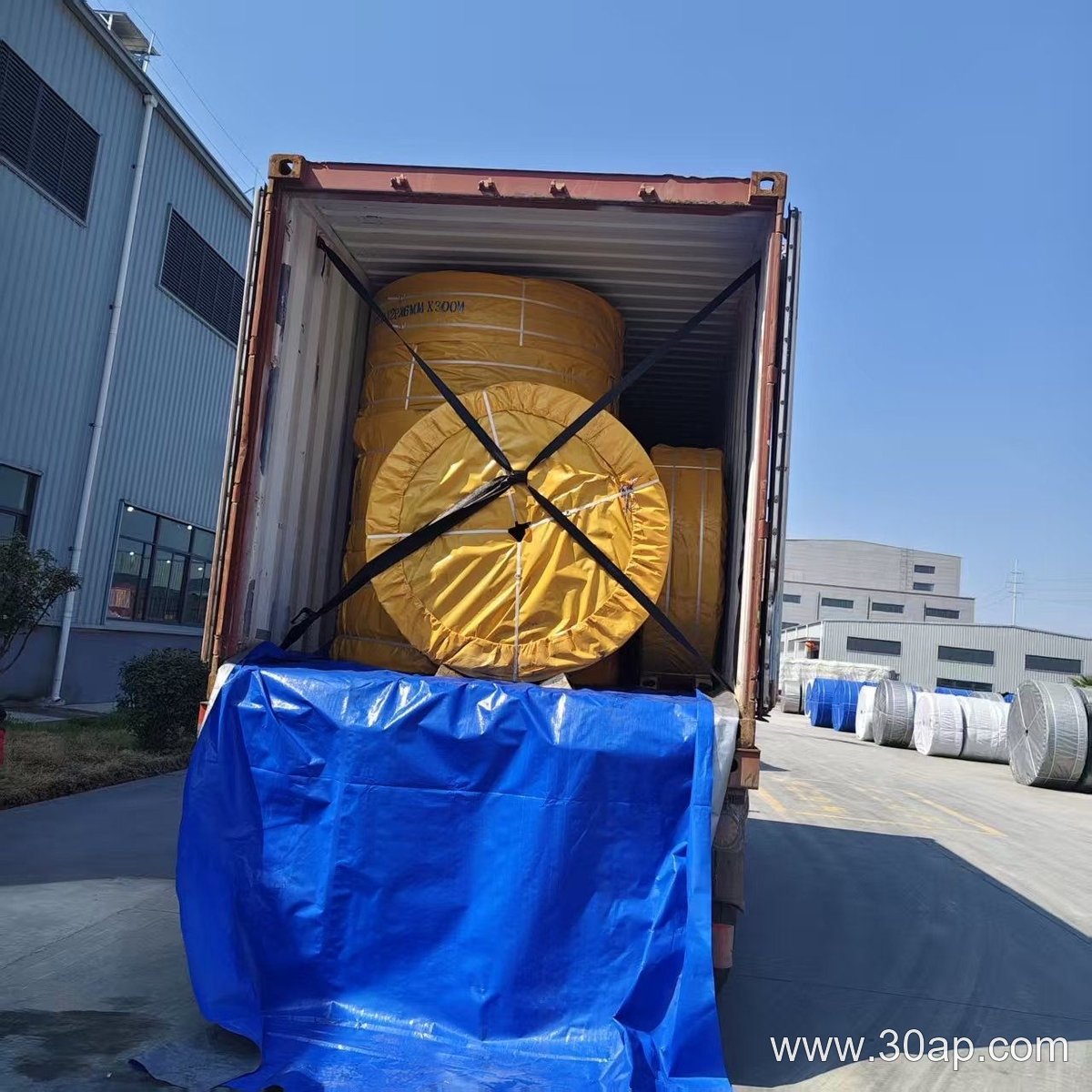 NN300 Conveyor Belt