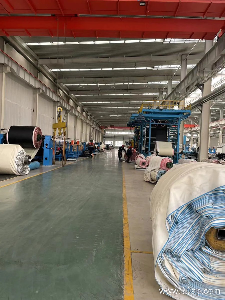 ST1000 Conveyor Belt