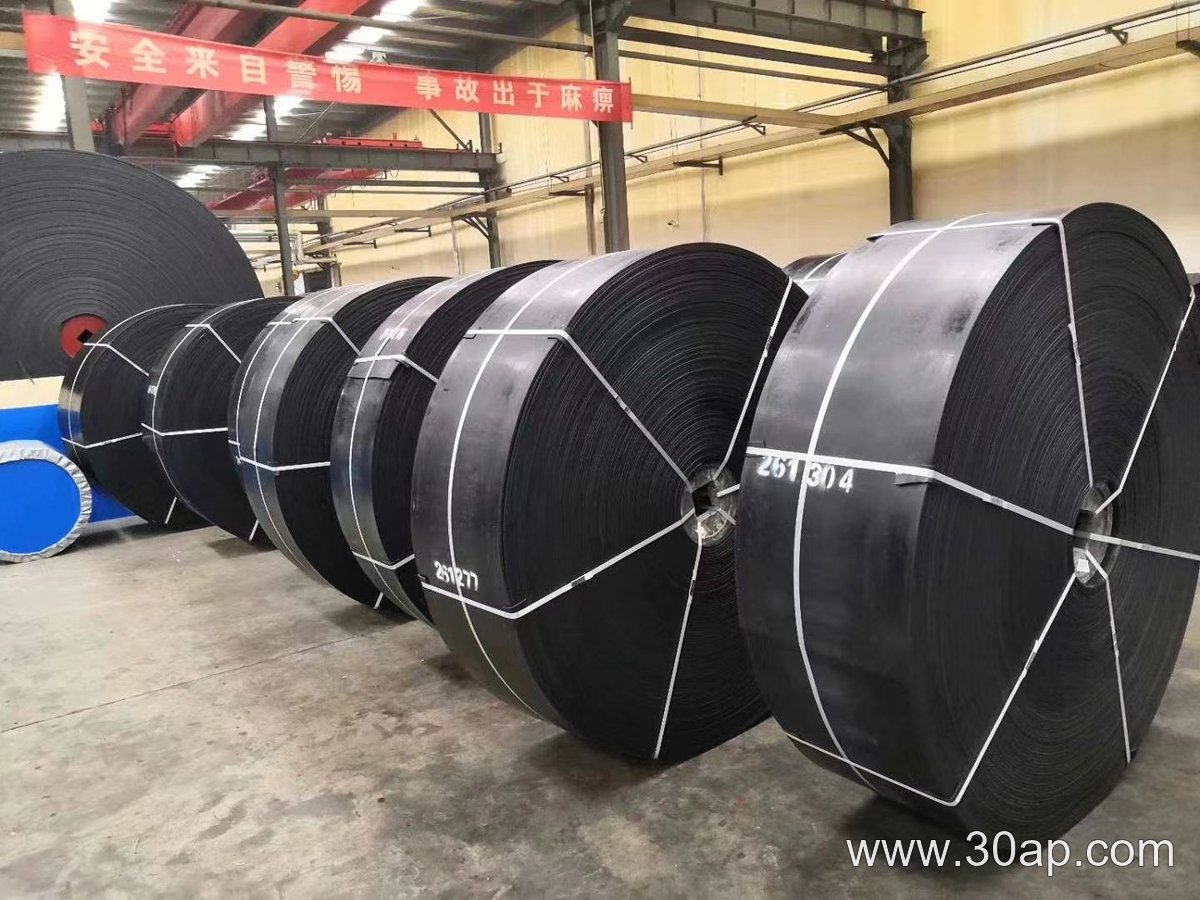 ST2500 Conveyor Belt