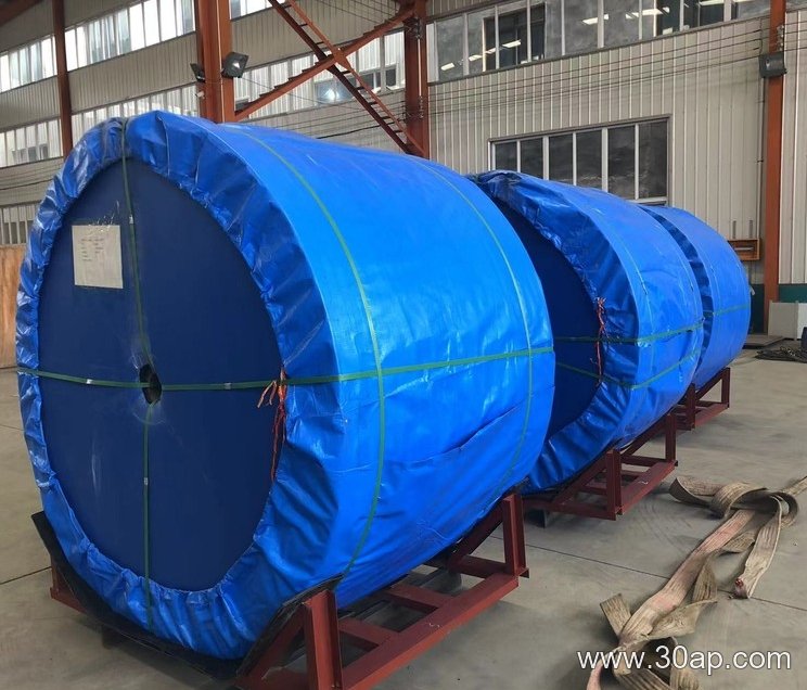EP1000 1200mm Conveyor Belt