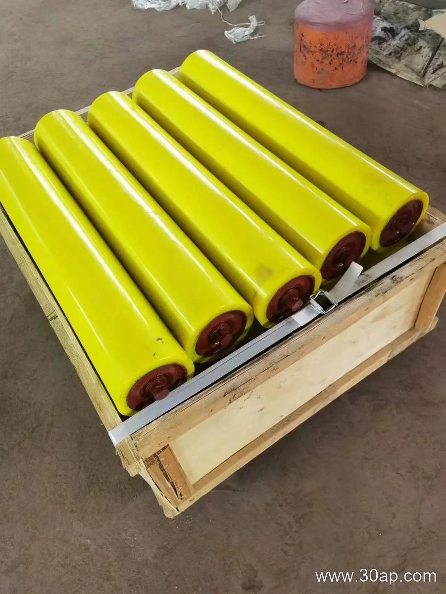 Belt Conveyor Guide Idler