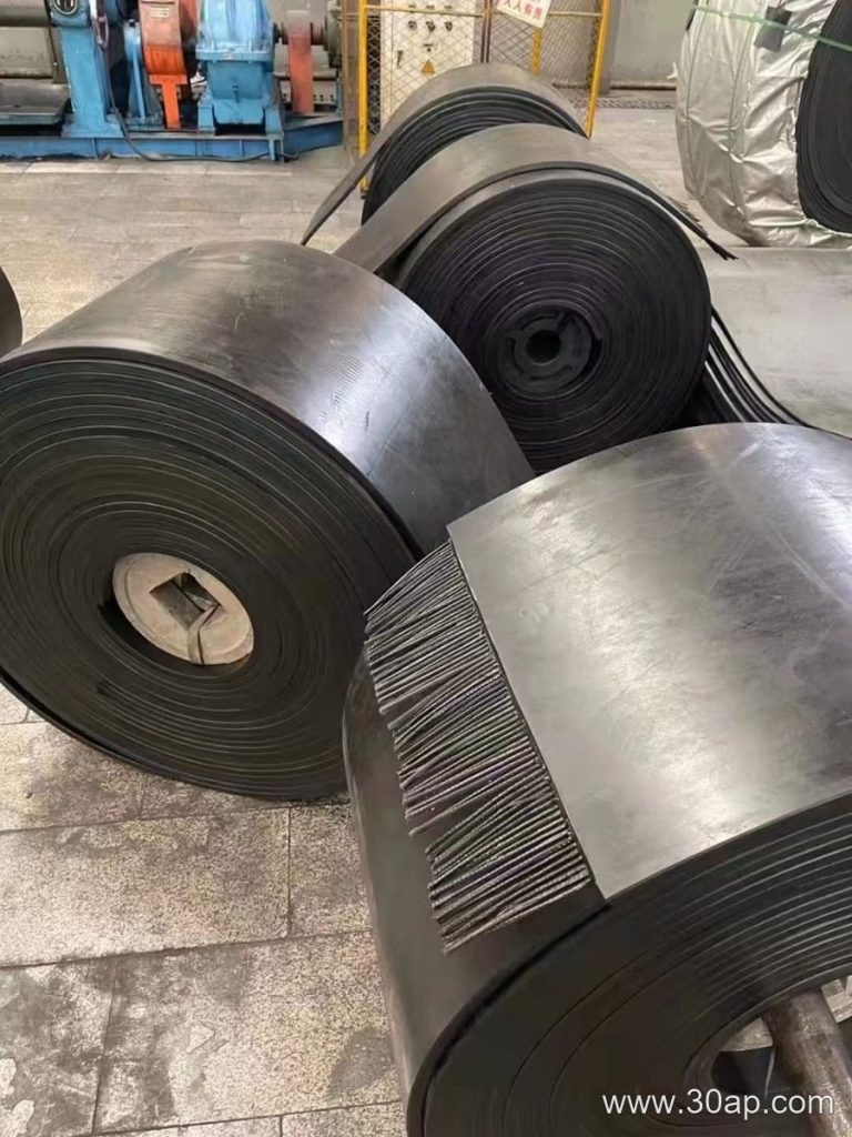 ST2500 Conveyor Belt