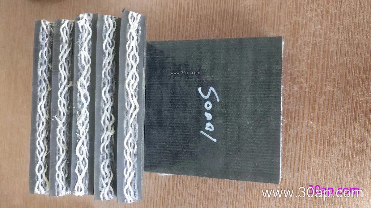 High Temperature Conveyor Belt