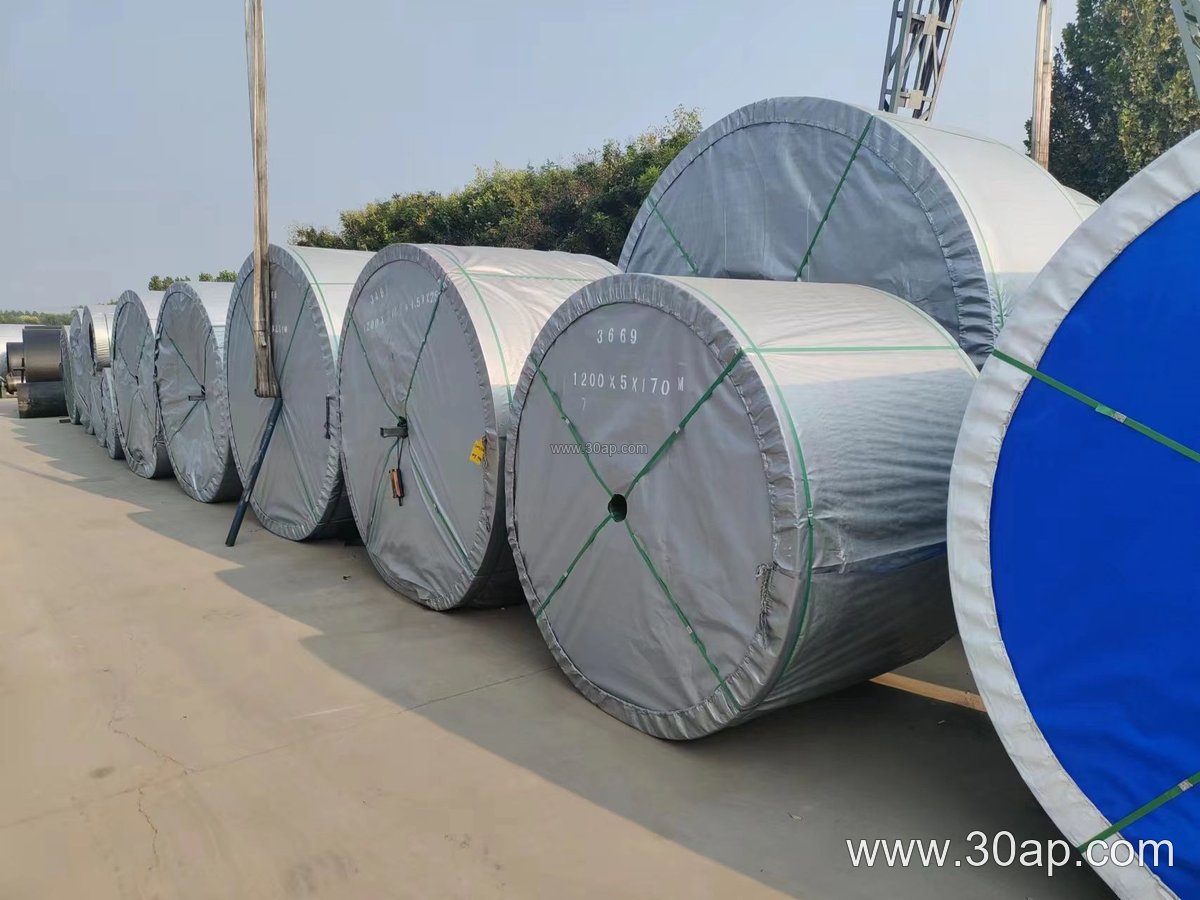 2200mm Conveyor Belt