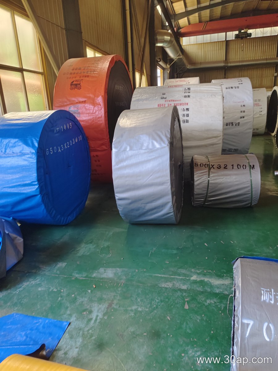 ST1250 Conveyor Belt