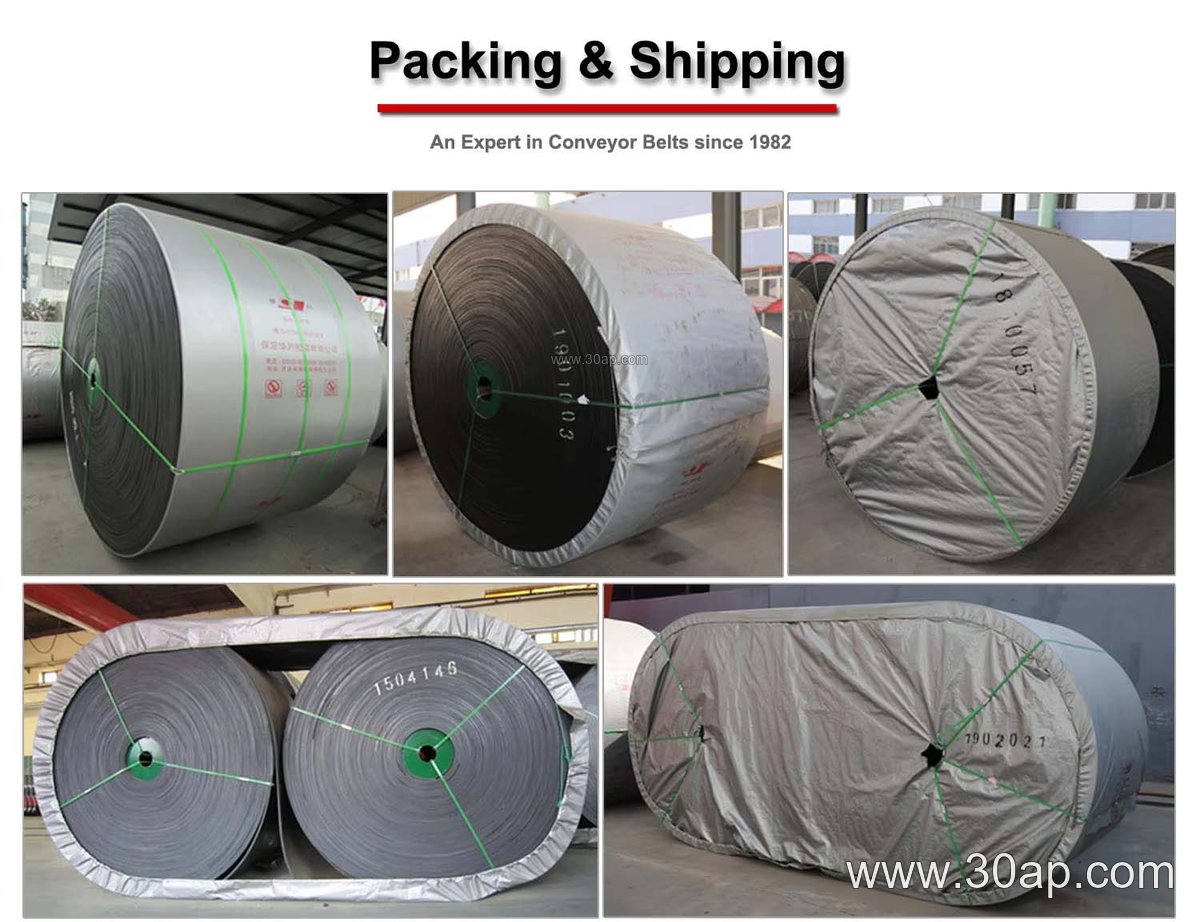 1200mm Conveyor Belt