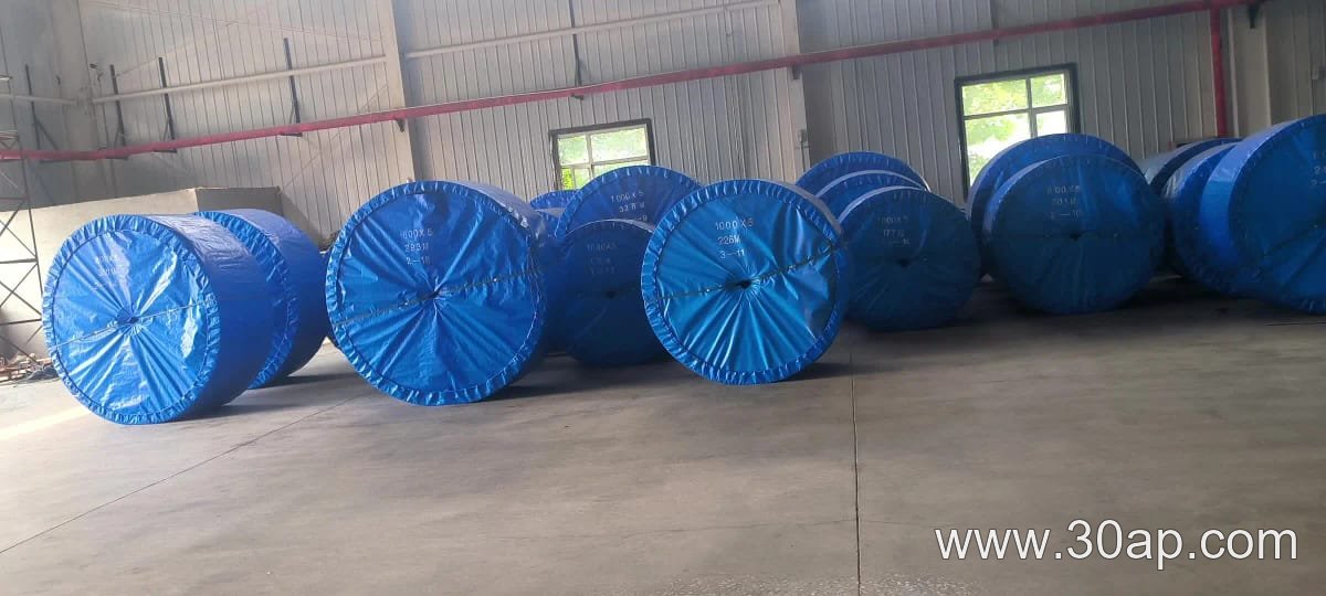NN300 Conveyor Belt
