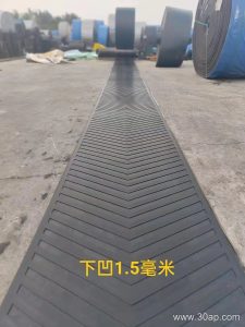 ST2000 Conveyor Belt for Heavy Duty Material Handling