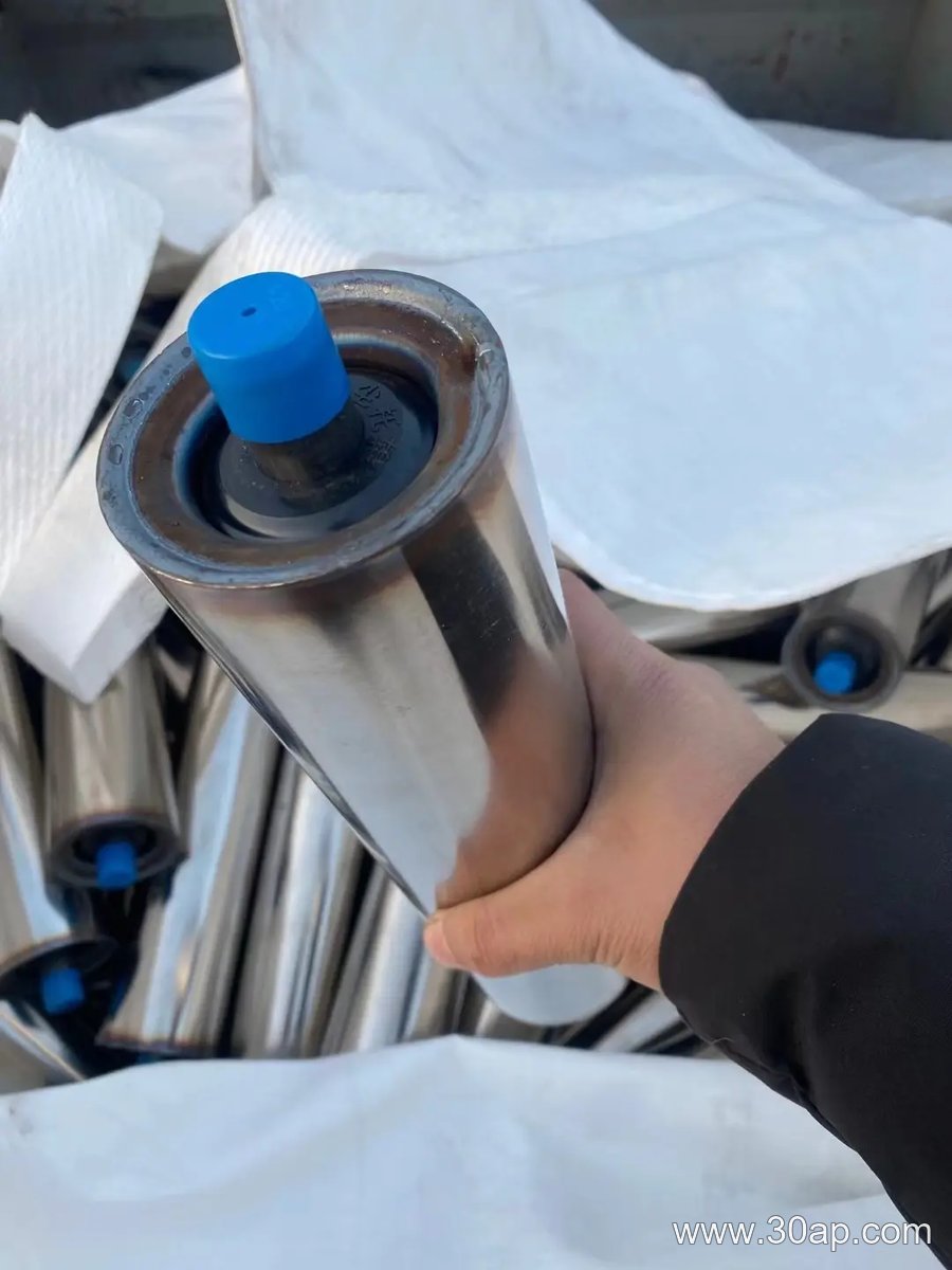 6205 Bearing Idler