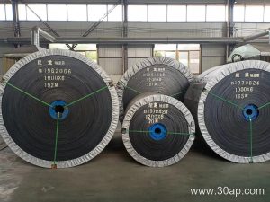 ST1000 Conveyor Belt Buyer and Application Guide