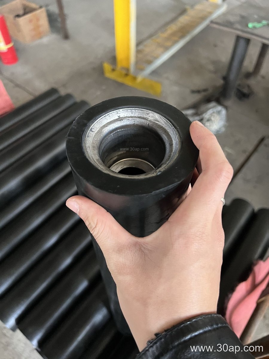 Sealed Idler